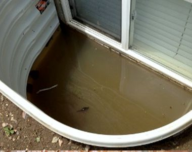Wood Window Well